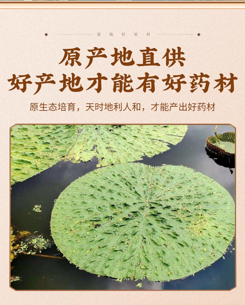 Dried Gorgon Fruit Qian Shi Euryale Seeds Whole Grain Herbal Tea and Soup Ingredient 500g key features