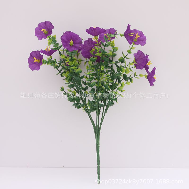 파란색 보라색