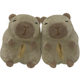 Capi Balaka soft cute water guinea pig cotton slippers autumn and winter warm all-inclusive plush couple home cotton slippers