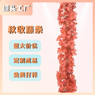 Jiayimei Factory Direct Sales Cross-Border New Thanksgiving Autumn Harvest Artificial Maple Leaf Vine Simulated Plant Home Decoration