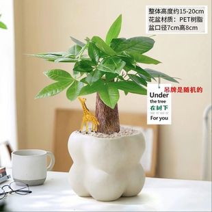 �lؔ���҃ȾGֲ����ȩ�����՚�������B�ļ����౱�W�≺���˾Gֲ