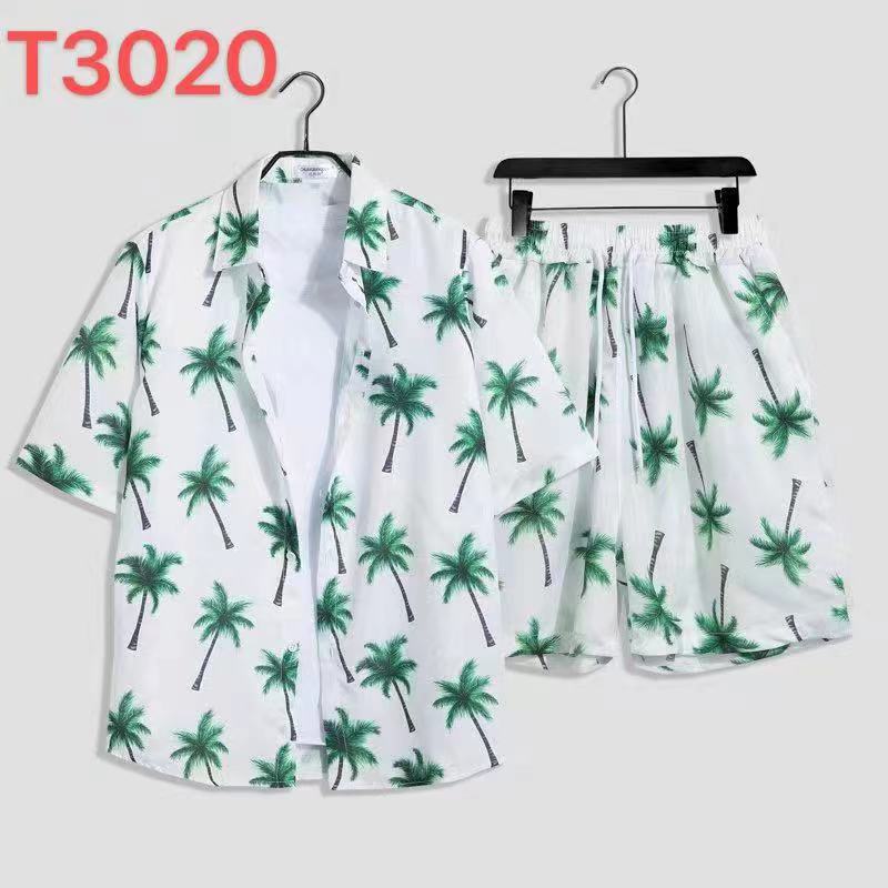 T3020 정장 셔츠 + 반바지