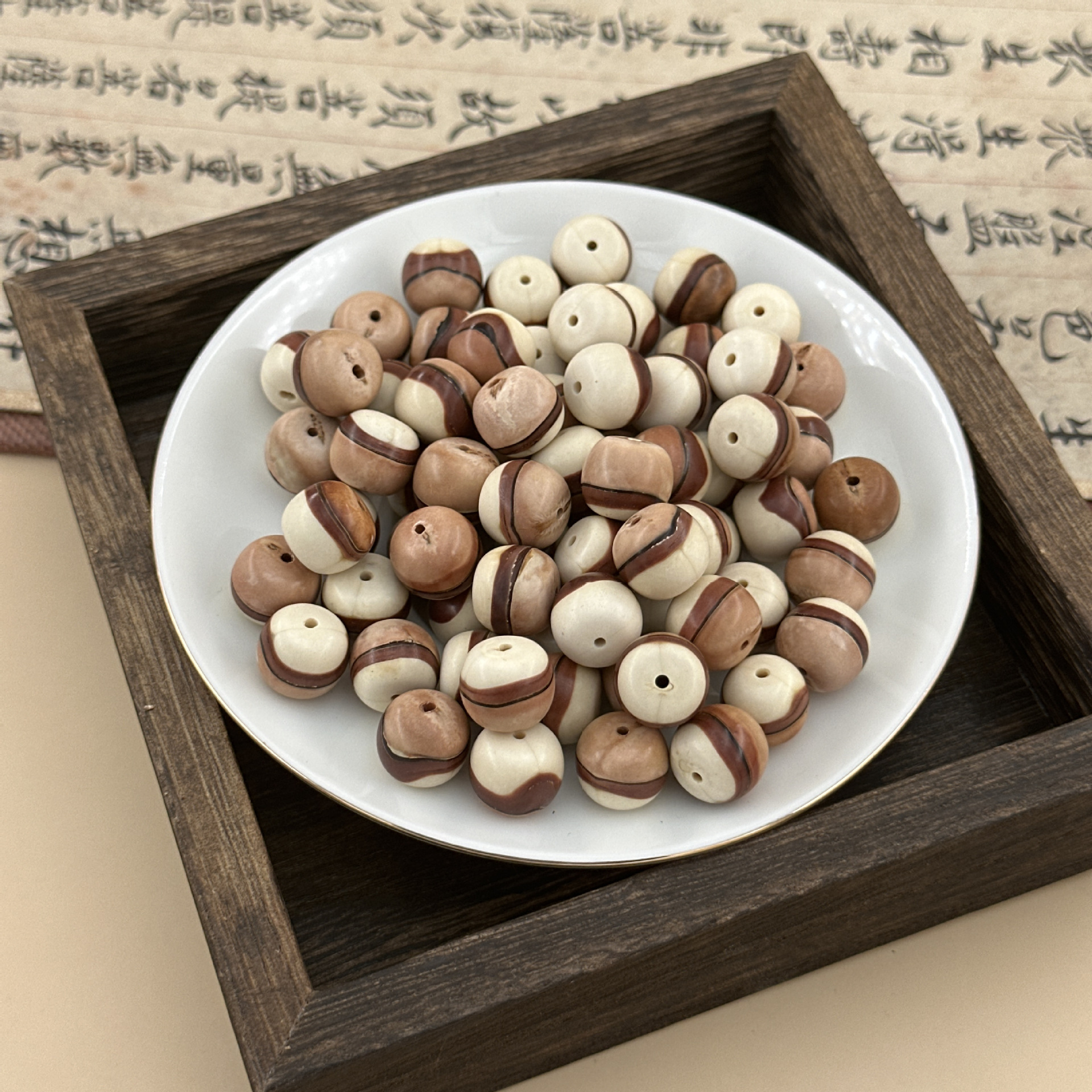 엄선된 천무산 씨앗 50개, 10*11mm