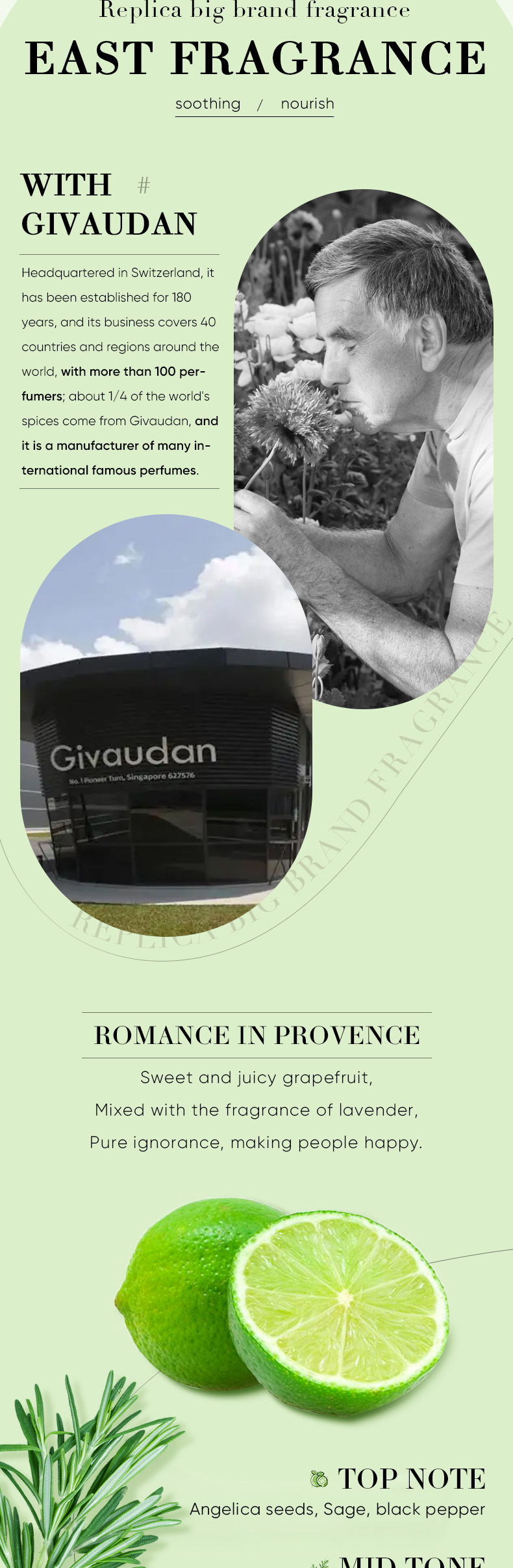 Essential Oil Vocabulary Words/Name Plant Personal Care Skin Care display picture 12