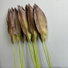 PU手感叶兰仿真花仿真叶子插花素材家居软装天堂鸟叶高品质PU兰叶