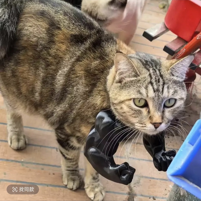 ハルク猫アームペット子犬のおもちゃ写真小道具 3D 印刷かわいい面白いクリエイティブ猫服バックパック|undefined