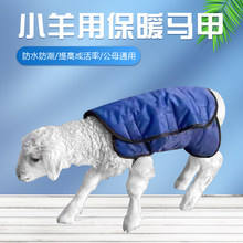 �����R�׼ӽq�Ӻ�Ӵ���ٸ�������L����С���·���ů