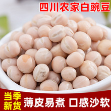 nx白豌豆四川农家生豌豆干可发豆芽豌豆粒干货小面商用豆类杂粮豌