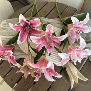3d��ˮ�ٺ��¿���滨�Ҿӿ͏d�[�����Ļ�c��Y�����[�O�bٻ�