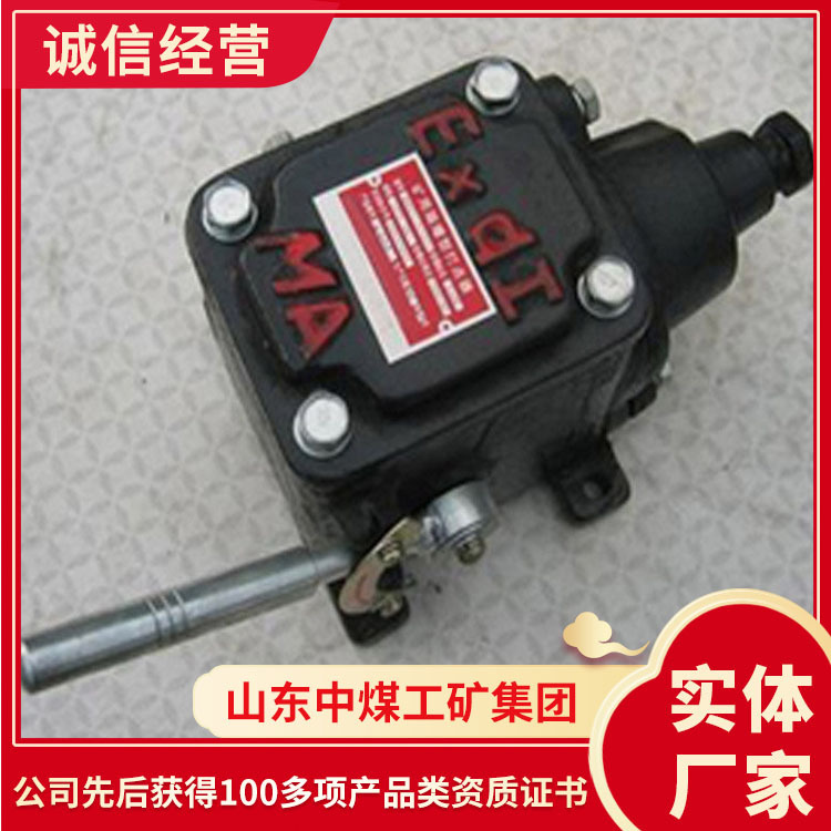 BAX矿用隔爆型打点器品牌厂家矿用隔爆型打点器价格直发