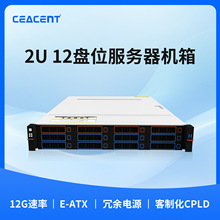CEACENT 2U12�P�C��ʽ�C�� SAS/SATA/NVME ���`��M�����ɴ���