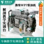 潍柴教学实训解剖教具
