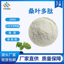 桑叶肽 桑叶蛋白肽小分子蛋白肽 98% 水溶 工厂直发 资质齐全