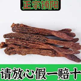 正宗内蒙古阿拉善金锁阳整根切片金锁阳片油苁蓉回春草风流果川断