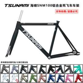2025款TSUNAMI海啸SNM100死飞自行车单速铝合金竞速场地自行车架