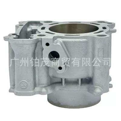 Cylinder and parts Set Suitable for Tricity300