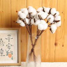 ���滨��֧ľ�޻� ��Ȼ�ɻ���c�Y���b�ɼҾӲ廨�[�������b�