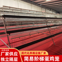 �B�u�����u�\�u���BֳA�����������T�Ԏ�ˮ��ʳ���A�ݵ��u�\�O��