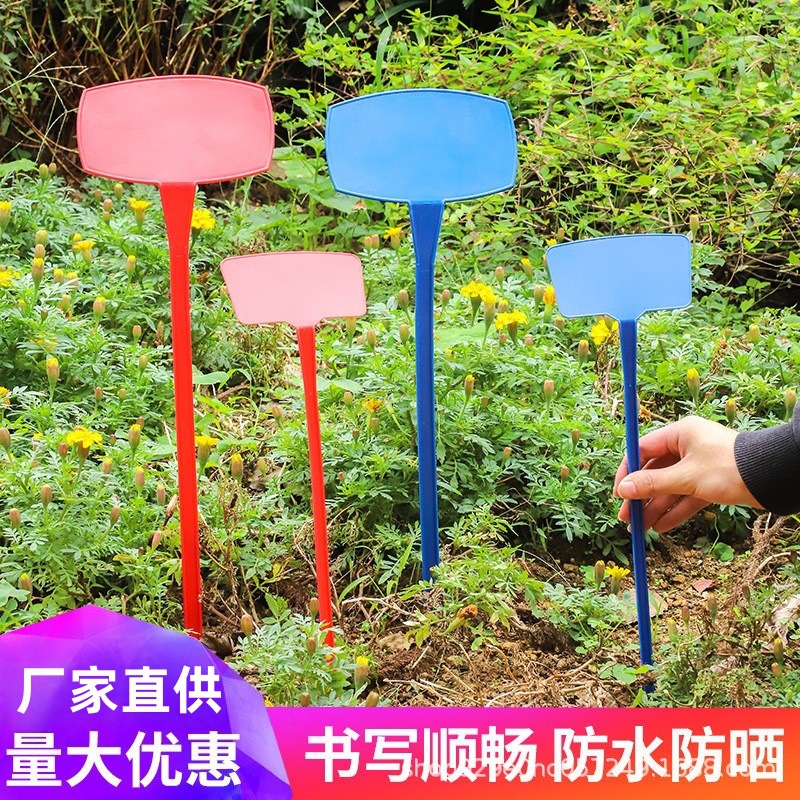 斜面插地牌大号园艺标签防水记录稻田苗木试验塑料书写记号指示牌