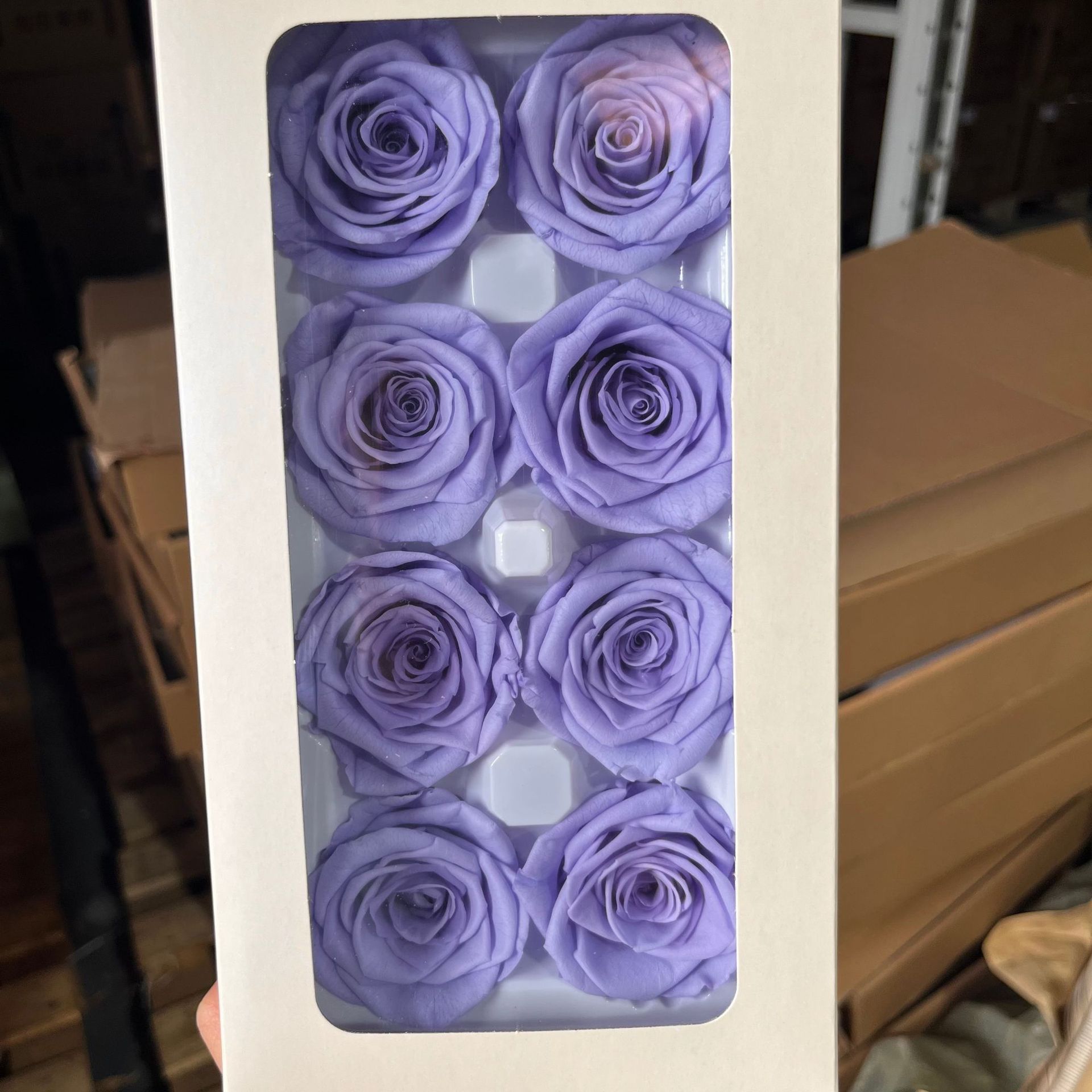 Cabeza de Rosa Preservada B+, 4-5 cm, Regalo para el Día de San Valentín Chino, Ramo de Flores Preservadas al por Mayor, Flores Secas para DIY, 520