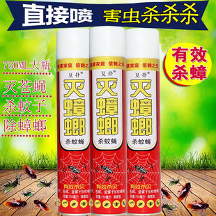 ���l���x�����Ü约�`���x���F���������nω���ș���x���F������