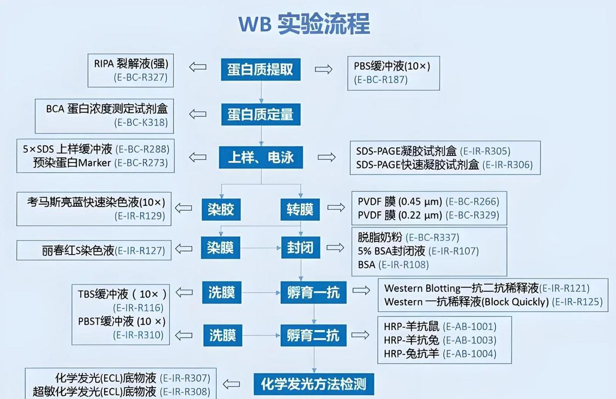 203fb80e7bec54e7c96c836e30ffd7