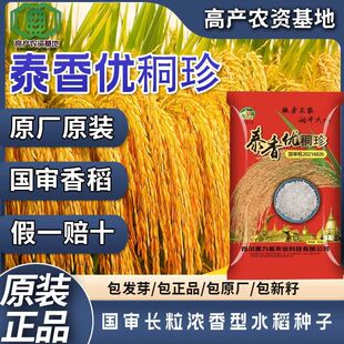 ̩�マ��������ˮ���N������ˮ���N�� �s���߮a�L������ˮ���N��