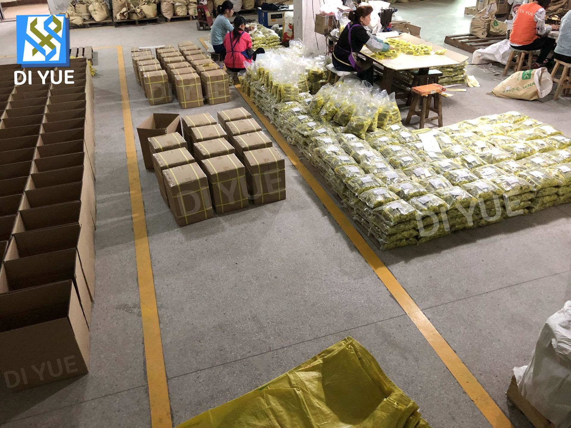 Hinge packaging area+Hinge packaging area_copy.