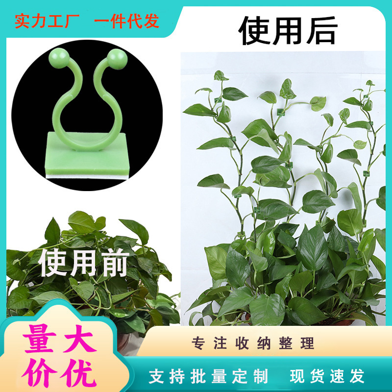 Green Radish Climbing Wall Fixer, Vine Green Plant Wall Adhesive, Clip Hook Green Radish Climbing Wall Magic Fixer Green Radish Climbing Wall Fixer, Vine Green Plant Wall Adhesive, Clip Hook Green Radish Climbing Wall Magic Fixer