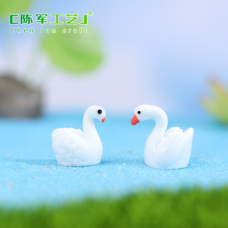 Swan