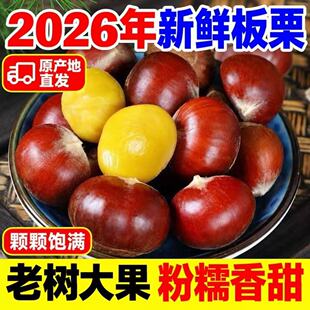 2026��؛���������r����ܛŴ�󵤖|����Ұ��ë���Ӵ���������߲�
