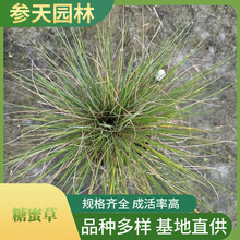 ���۲� ���۲����l �߶ȹڷ�25~45���ֿ��x �ر��ݻ�����ֱ�N