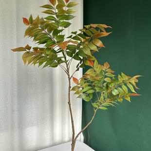 ������ľ���������쾰ֲ�������҃���͏d�b�Ʒ��ˇ�[���٘��辰