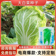 ײ˷Nݲ˷NN＾ѷNRļ߲Ӳ