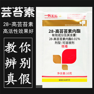 һ��ȫ�ܽ�28��̦ܿ�؃����̨�؃�ֲ֬�����L�{����С�����~���