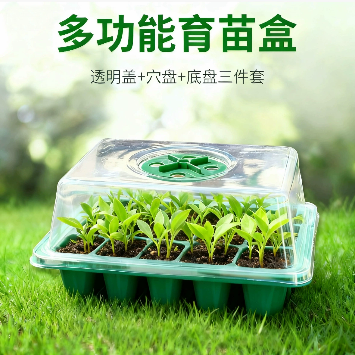 Популярный трансграничный ящик для рассады с листьями, набор из трех предметов, лоток для семян, ящик для проращивания, круглая крышка, дышащие отверстия, регулируемая изоляция