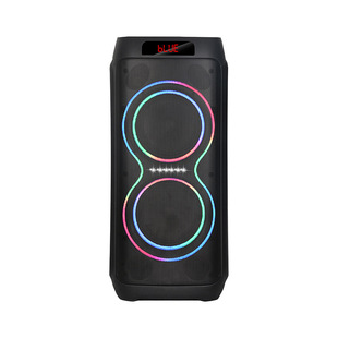 Baab Ningda Factory Price Direct Sales Dual 10inch High Power 80W Spot Linear Light Outdoor Bluetooth USB Speaker