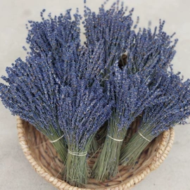 鲜花花艺制品;干花;永生花
