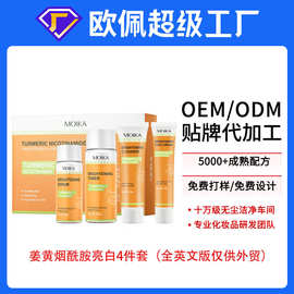 贴牌定制 外贸全英文姜黄烟酰胺护肤品套装跨境出口套盒oem代加工