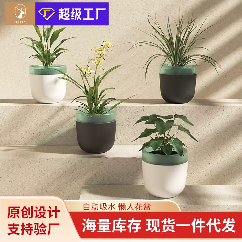 自动吸水免浇灌储水花盆懒人浇水绿萝树脂塑料多肉盆自吸水