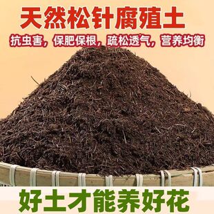 Fermented Pine Needle Soil Nutrient Soil Pure Pine Needle Soil Universal Pure Pine Needle Soil
