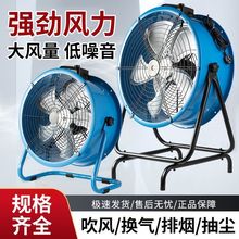 ILSLCLȴſȹSɢήͨL