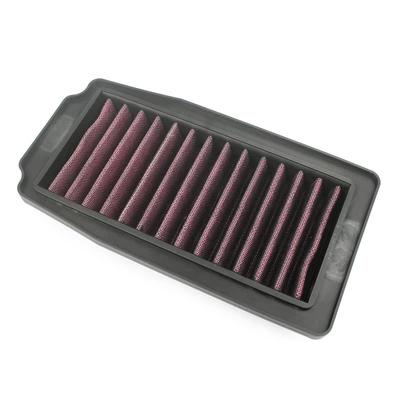 Air filter Lichi GW250 GW250S/F