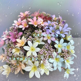 �����ͮ�С�ٺϻ�5������Ƶ����޻�c�b[����@�Ĕz�S��ֱ��