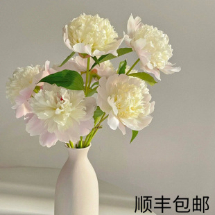 Spot Double-Petaled Peony Yunnan Kunming Base Flowers Straight Hair Straight Batch Fresh Cut Flower Bouquet Family Water Cultivation Package Open