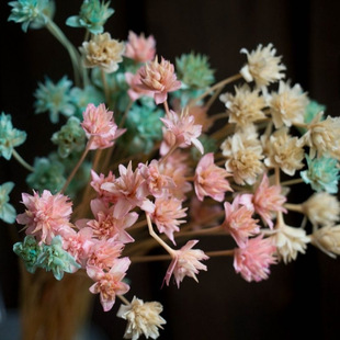 ɽ�� �M�ڸɻ���������@�Ҿ��Ʒ���յ�����Ȼԭ���B�滨С�r��