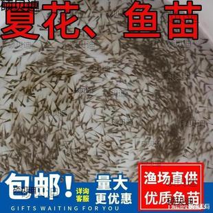 ˮ���~�����l�a�~�~���~���^�����������~���~����~�N���~