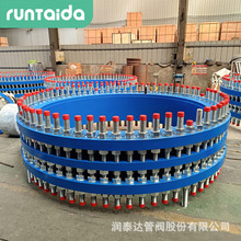 C2Fpm^λs^DN500B2Fpmλs