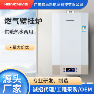 Wall-Mounted Stove Household Heating Stove Heating Bath Dual-Use All-In-One Wall-Mounted Stove Gas Wall-Mounted Stove Wholesale Source Factory