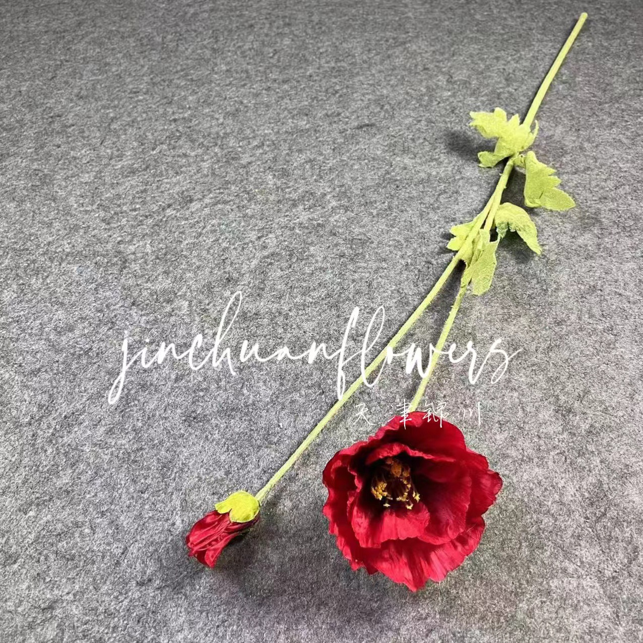 밝은 빨간색